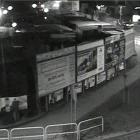 fot. Straż Miejska Jelenia Góra