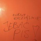 Fotka nr 1 z 3