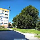 zdjęcie nr 8