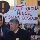 zdjęcie nr 35