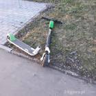 Fotka nr 2 z 11