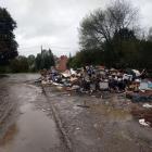 fot. Straż Miejska Jelenia Góra