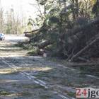 zdjęcie nr 18
