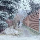 Fotka nr 5 z 6
