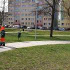 zdjęcie nr 8