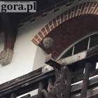 zdjęcie nr 2