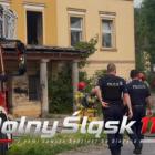 Fotka nr 2 z 3