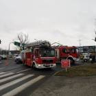 Fotka nr 2 z 10