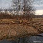 Fotka nr 1 z 11