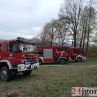 Fotka nr 1 z 10