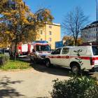 Fotka nr 5 z 6