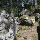 fot. Karkonosze GO