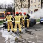 zdjęcie nr 10