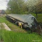 Fotka nr 5 z 7