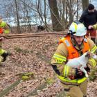 Fotka nr 0 z 6
