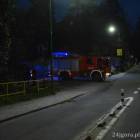 Fotka nr 1 z 8