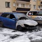 Fotka nr 2 z 5