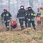 zdjęcie nr 7