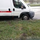 Fotka nr 4 z 7