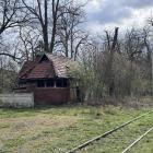 zdjęcie nr 7