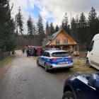 Fotka nr 5 z 7