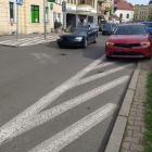 fot. Straż Miejska Jelenia Góra