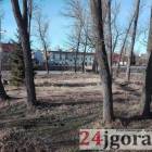 Fotka nr 4 z 10