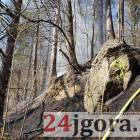 Fotka nr 1 z 14