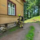 Fotka nr 1 z 10
