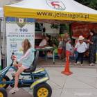 zdjęcie nr 22