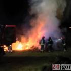 Fotka nr 2 z 11