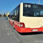 zdjęcie nr 8