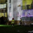 Fotka nr 5 z 6