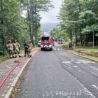 Fotka nr 2 z 24
