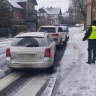 fot. Straż Miejska Jelenia Góra