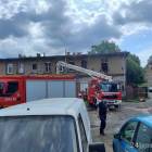 Fotka nr 3 z 17
