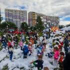 zdjęcie nr 18
