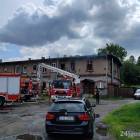 Fotka nr 5 z 17