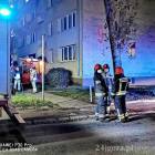 Fotka nr 5 z 7