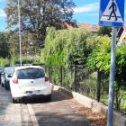 fot. Straż Miejska Jelenia Góra