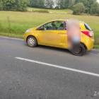 Fotka nr 4 z 8