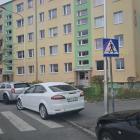 fot. Straż Miejska Jelenia Góra
