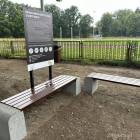 zdjęcie nr 19
