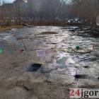 Fotka nr 2 z 13