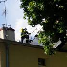 zdjęcie nr 11