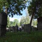 zdjęcie nr 8