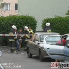 Fotka nr 5 z 17