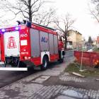 Fotka nr 2 z 15