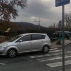 fot. Straż Miejska Jelenia Góra