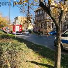 Fotka nr 3 z 6